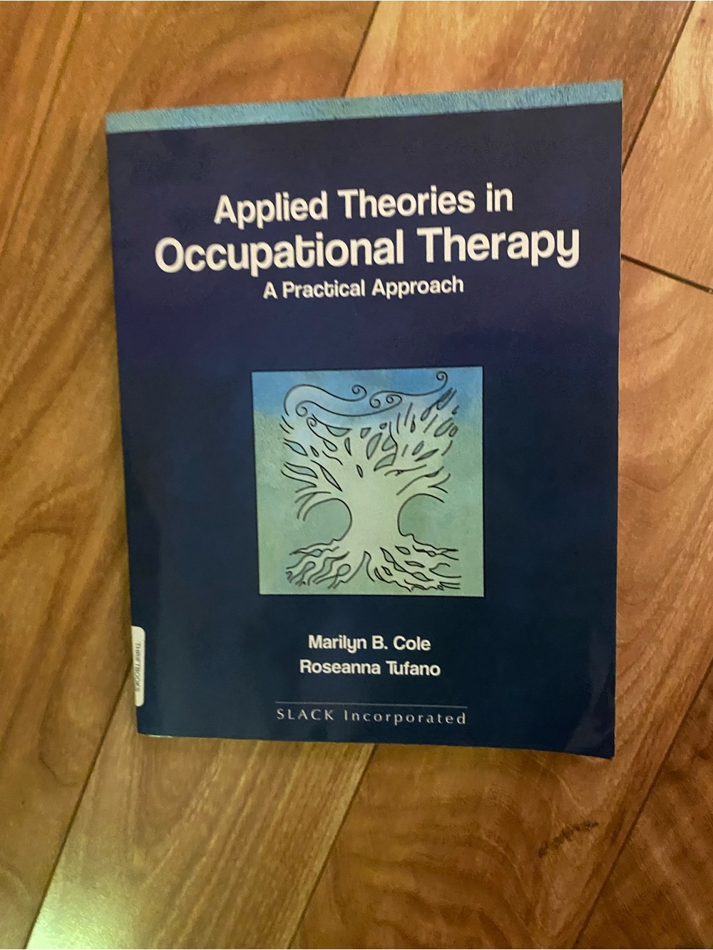 Applied Theories in Occupational Therapy - Blue Textbook